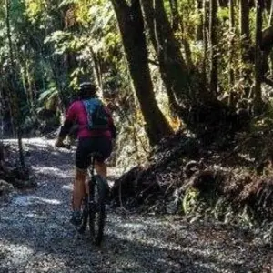 Explore West Coast Wilderness Cycle Trail for 5 days with Adventure South and discover unforgettable experiences - Photo 9