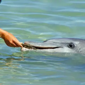 Explore Broome to Perth Adventure for 10 days with Adventure Tours Australia and discover unforgettable experiences - Photo 4