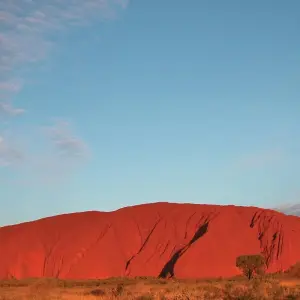 Explore 3 Night Uluru Adventure (Alice Springs to Yulara) for 4 days with Adventure Tours Australia and discover unforgettable experiences - Photo 8