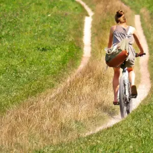 Explore Great Taste Trail & Beyond, Bike, Hike & Sail for 7 days with Adventure South and discover unforgettable experiences - Photo 10