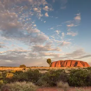 Explore Outback Camping Adventure (ex Yulara) for 5 days with Adventure Tours Australia and discover unforgettable experiences - Photo 2