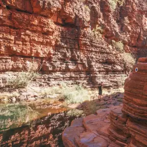 Explore Perth to Exmouth, Karijini & Return for 10 days with Adventure Tours Australia and discover unforgettable experiences - Photo 5
