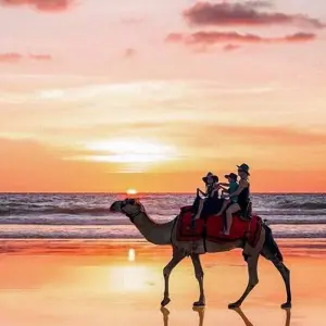 Explore Broome to Perth Adventure for 10 days with Adventure Tours Australia and discover unforgettable experiences - Photo 7