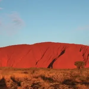 Explore 3 Day Uluru Adventure for 3 days with Adventure Tours Australia and discover unforgettable experiences - Photo 8
