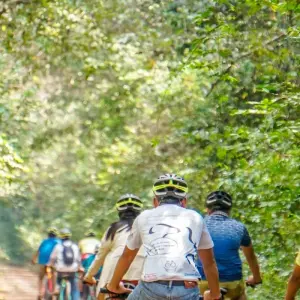 Explore Adventure Cambodia for 12 days with Adventure Travel Co. and discover unforgettable experiences - Photo 5