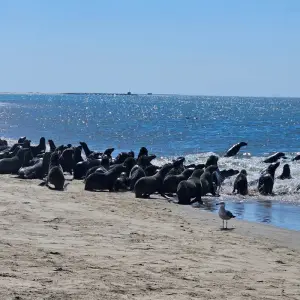 Explore 3 Day Namibia Tour from Johannesburg for 3 days with Africa Moja Tours & Transfers and discover unforgettable experiences - Photo 2