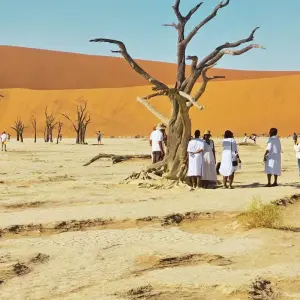 Explore 12 Days Wonders of Africa: Johannesburg, Walvis Bay, Victoria Falls, Cape Town, and Kruger National Park for 12 days with Africa Moja Tours & Transfers and discover unforgettable experiences - Photo 2