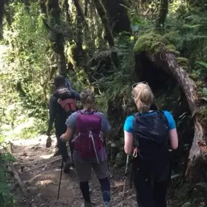 Explore Day trip in Kilimanjaro National Park Tanzania for 1 days with Africa Outland Safaris and discover unforgettable experiences - Photo 3