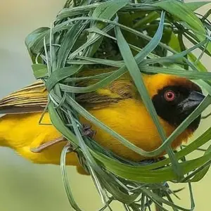 Explore 6 Days Semi Luxury Safari for 6 days with Africa Outland Safaris and discover unforgettable experiences - Photo 3