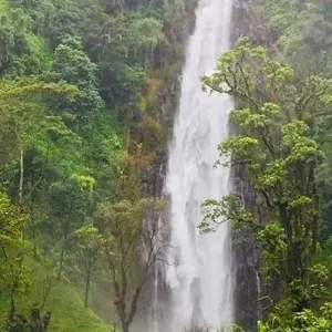 Explore Materuni waterfalls, coffee tour & kikuletwa hot springs for 1 days with Africa Outland Safaris and discover unforgettable experiences - Photo 2