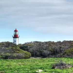 Explore 6 Days and 5 Nights Cape Town Tour for 6 days with Africa Moja Tours & Transfers and discover unforgettable experiences - Photo 6