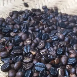 Explore Materuni waterfalls, coffee tour & kikuletwa hot springs for 1 days with Africa Outland Safaris and discover unforgettable experiences - Photo 3