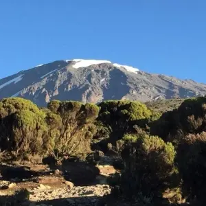 Explore Day trip in Kilimanjaro National Park Tanzania for 1 days with Africa Outland Safaris and discover unforgettable experiences - Photo 6