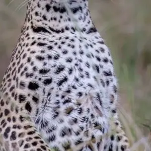 Explore 4 Days Joining Tarangire and Ngororngoro for 4 days with Africa Outland Safaris and discover unforgettable experiences - Photo 9