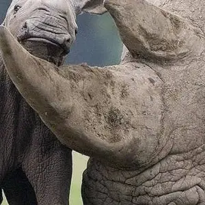 Explore 6 Days Semi Luxury Safari for 6 days with Africa Outland Safaris and discover unforgettable experiences - Photo 7