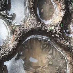 Explore 4 Days Joining Tarangire and Ngororngoro for 4 days with Africa Outland Safaris and discover unforgettable experiences - Photo 11