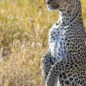 Explore Day trip in Arusha National Park Tanzania for 1 days with Africa Outland Safaris and discover unforgettable experiences - Photo 4