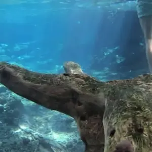 Explore Materuni waterfalls, coffee tour & kikuletwa hot springs for 1 days with Africa Outland Safaris and discover unforgettable experiences - Photo 8