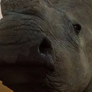 Explore Day trip in Lake Manyara National Park for 1 days with Africa Outland Safaris and discover unforgettable experiences - Photo 6