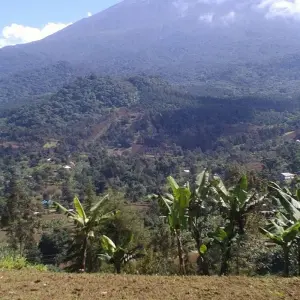 Explore 7 Days Kilimanjaro Climb  Rongai Route for 7 days with Africa Outland Safaris and discover unforgettable experiences - Photo 3