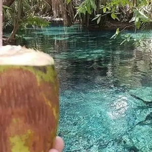 Explore Materuni waterfalls, coffee tour & kikuletwa hot springs for 1 days with Africa Outland Safaris and discover unforgettable experiences - Photo 9