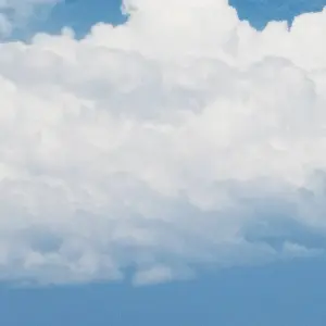 Explore 7 Days  Kilimanjaro climb lemosho Route for 7 days with Africa Outland Safaris and discover unforgettable experiences - Photo 3