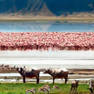 Explore 4 Days Climb Mount Meru in Tanzania. for 4 days with Africa Outland Safaris and discover unforgettable experiences - Photo 5