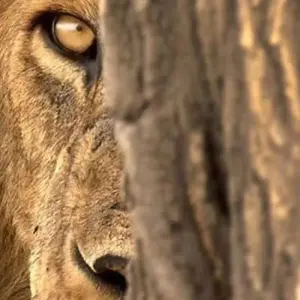 Explore Day trip in Arusha National Park Tanzania for 1 days with Africa Outland Safaris and discover unforgettable experiences - Photo 8