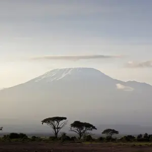 Explore 8 Days Climb Kilimanjaro Rongai Route for 8 days with Africa Outland Safaris and discover unforgettable experiences - Photo 5