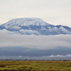 Explore 7 Days Kilimanjaro Climb  Rongai Route for 7 days with Africa Outland Safaris and discover unforgettable experiences - Photo 5