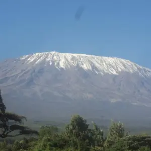 Explore 7 Days Mount Kilimanjaro Machame Route for 7 days with Africa Outland Safaris and discover unforgettable experiences - Photo 6