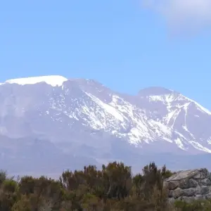 Explore 7 Days  Kilimanjaro climb lemosho Route for 7 days with Africa Outland Safaris and discover unforgettable experiences - Photo 5