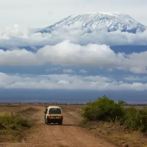 Explore 7 Days Kilimanjaro Climb  Rongai Route for 7 days with Africa Outland Safaris and discover unforgettable experiences - Photo 6