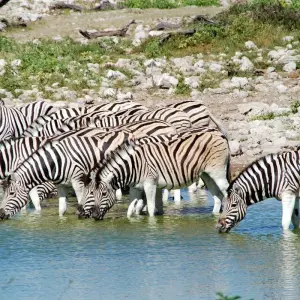 Explore 3 Days Oldoinyo Lengai climbing for 3 days with Africa Outland Safaris and discover unforgettable experiences - Photo 2