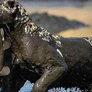 Explore Day trip in Tarangire National Park for 1 days with Africa Outland Safaris and discover unforgettable experiences - Photo 10