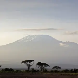 Explore 7 Days Kilimanjaro Climb  Rongai Route for 7 days with Africa Outland Safaris and discover unforgettable experiences - Photo 8