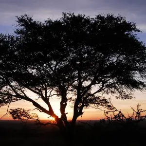 Explore six Days Big Five Safari for 6 days with Africa Outland Safaris and discover unforgettable experiences - Photo 2