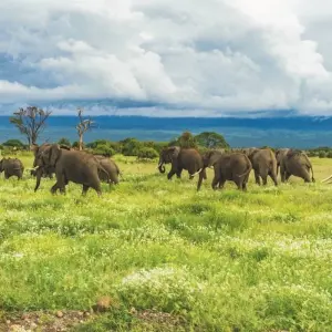 Explore 3 Days Oldoinyo Lengai climbing for 3 days with Africa Outland Safaris and discover unforgettable experiences - Photo 4