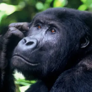 Explore Nairobi to Nairobi 15 Days Overlanding for 15 days with Africa Travel Co. and discover unforgettable experiences - Photo 3