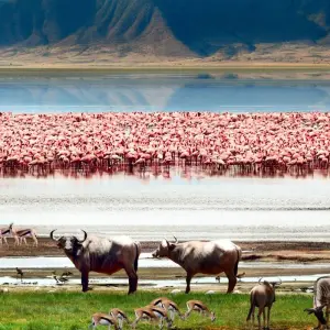 Explore 3 Days Oldoinyo Lengai climbing for 3 days with Africa Outland Safaris and discover unforgettable experiences - Photo 5