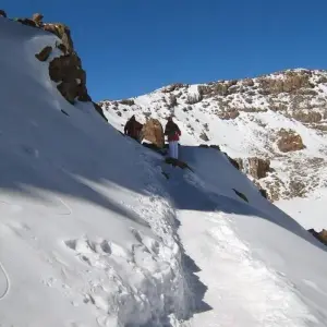 Explore 8 Days Kilimanjaro Climb – Lemosho Route for 8 days with Africa Outland Safaris and discover unforgettable experiences - Photo 10