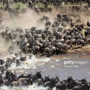Explore six Days Big Five Safari for 6 days with Africa Outland Safaris and discover unforgettable experiences - Photo 5