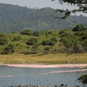 Explore 3 Days Oldoinyo Lengai climbing for 3 days with Africa Outland Safaris and discover unforgettable experiences - Photo 6