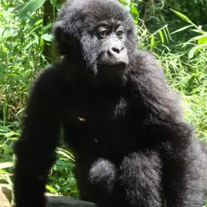 Explore Nairobi to Nairobi 15 Days Overlanding for 15 days with Africa Travel Co. and discover unforgettable experiences - Photo 5