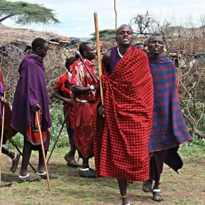 Explore 4 Days Serengeti camping private for 4 Pax for 4 days with Africa Outland Safaris and discover unforgettable experiences - Photo 5