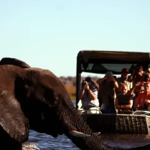 Explore Nairobi To Cape Town 57 Days Overlanding for 57 days with Africa Travel Co. and discover unforgettable experiences - Photo 4