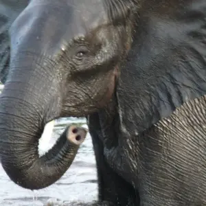 Explore Nairobi to Nairobi 15 Days Overlanding for 15 days with Africa Travel Co. and discover unforgettable experiences - Photo 7