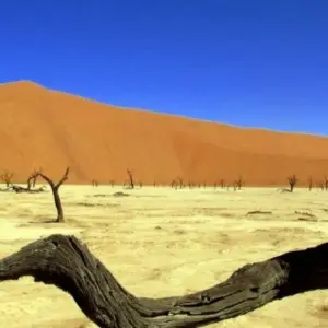 Explore Cape Town To Nairobi 43 Days Overlanding for 43 days with Africa Travel Co. and discover unforgettable experiences - Photo 3