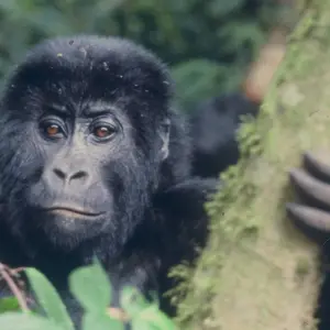 Explore Nairobi to Nairobi 15 Days Overlanding for 15 days with Africa Travel Co. and discover unforgettable experiences - Photo 8