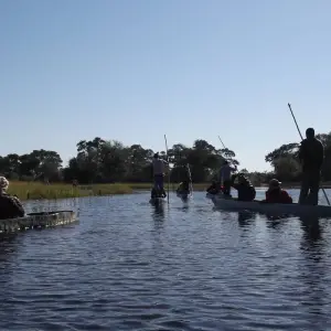 Explore Nairobi to Cape Town 43 Days Overlanding for 43 days with Africa Travel Co. and discover unforgettable experiences - Photo 4